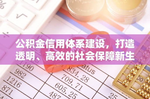 色达公积金信用体系建设，打造透明、高效的社会保障新生态