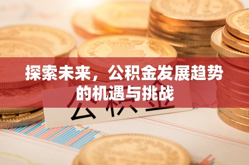 色达探索未来，公积金发展趋势的机遇与挑战