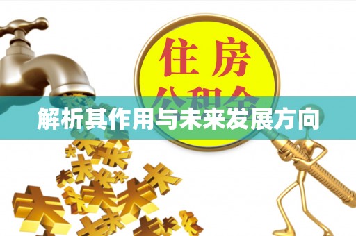 色达解析其作用与未来发展方向